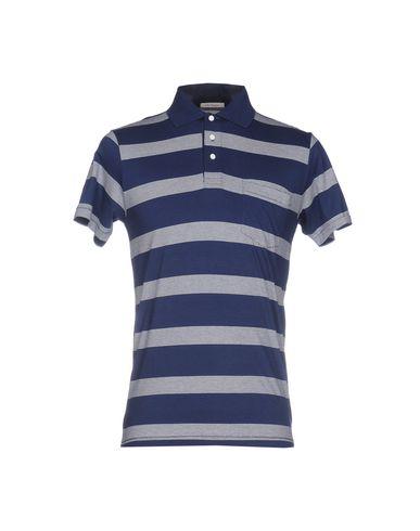 Поло  -  цвет