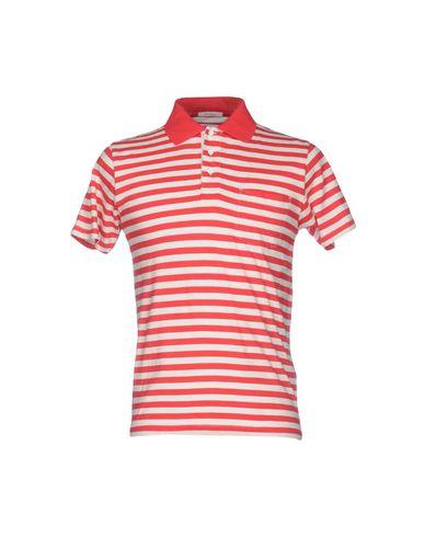 Поло  -  цвет