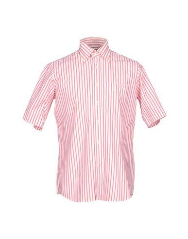 Поло  -  цвет