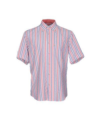 Поло  -  цвет