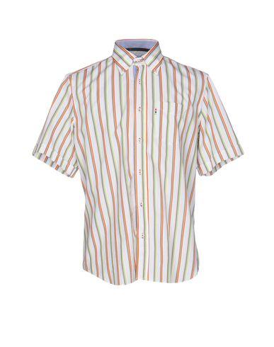 Поло  -  цвет