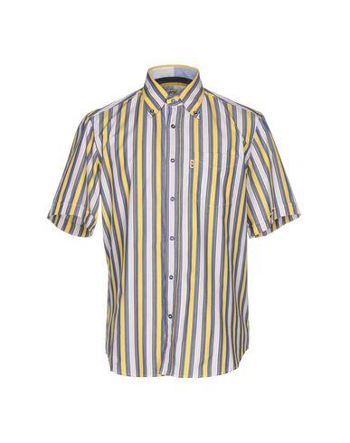 Поло  -  цвет