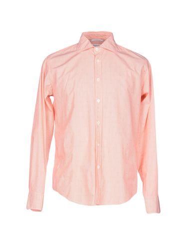 Поло  -  цвет