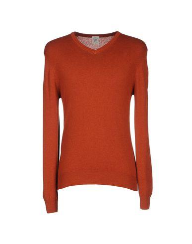 Свитер  -  цвет