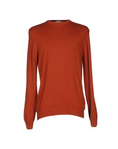 Свитер  -  цвет