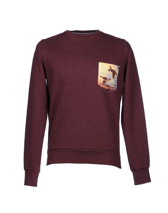 Толстовка  -  цвет