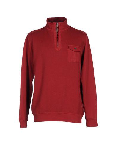 Толстовка  -  цвет