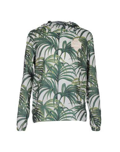 Толстовка  -  цвет