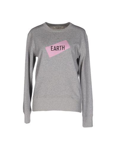 Толстовка  -  цвет