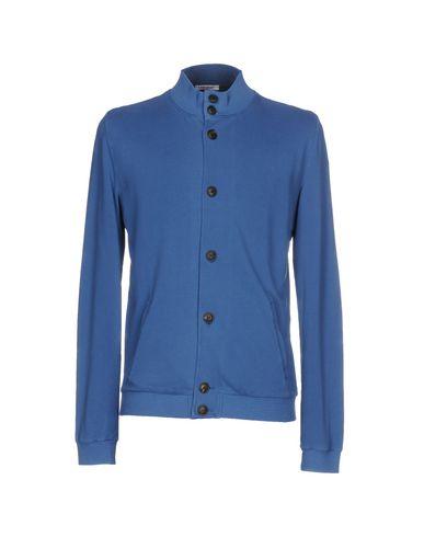 Толстовка  -  цвет