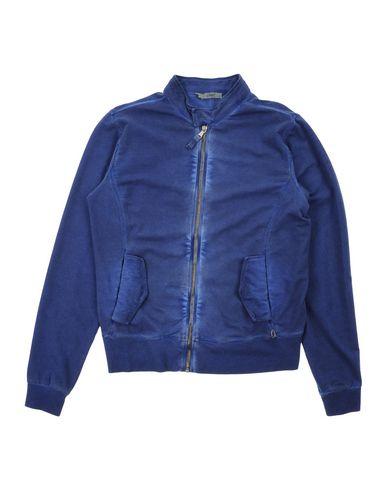 Толстовка  -  цвет