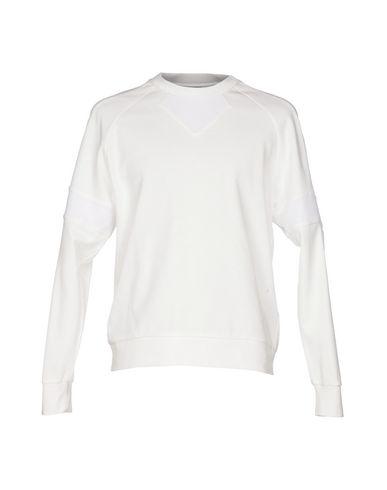 Толстовка  -  цвет