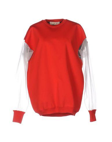 Толстовка MARNI