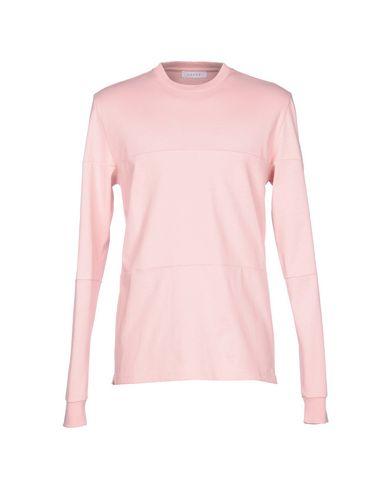 Толстовка  -  цвет