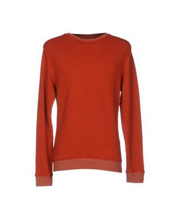 Толстовка SPORTSWEAR REG.